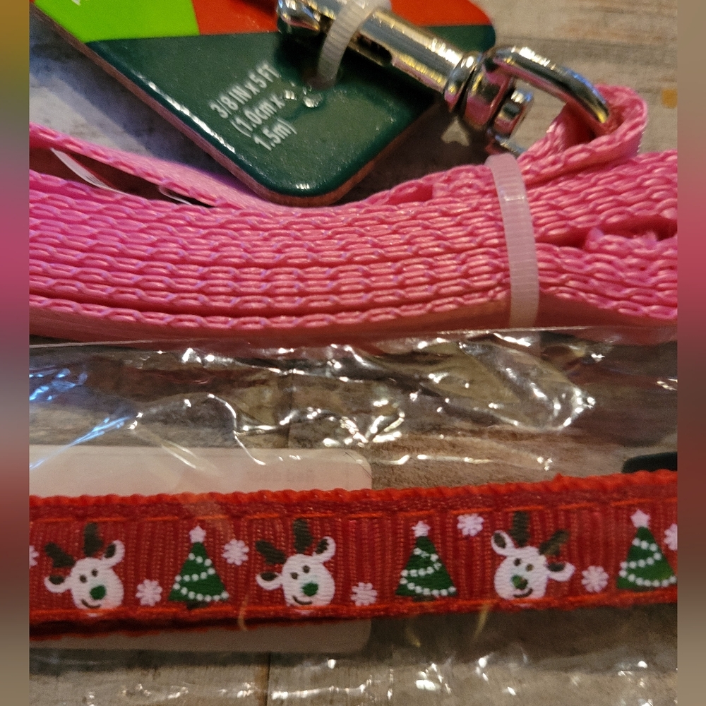 New Vibrant Life dog/cat collar & leash bundle,size small.